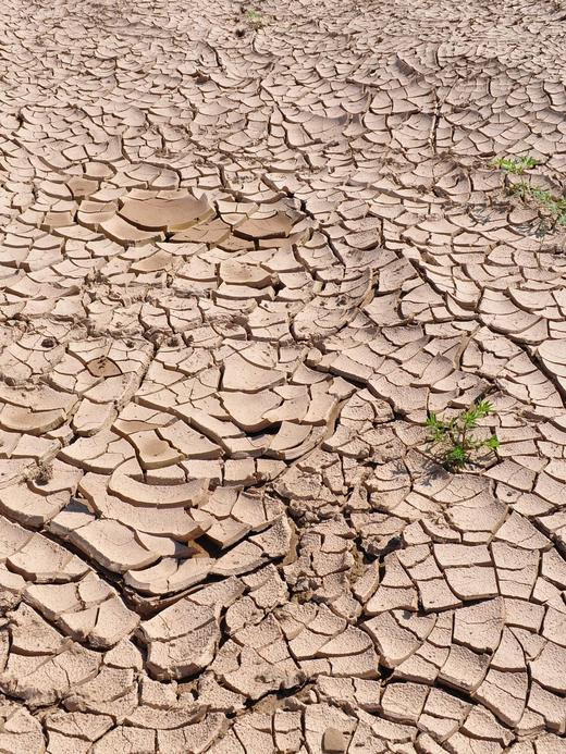 Terra arida spaccata dalla siccità
